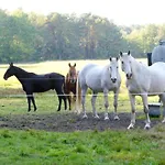 4 Elemente In Mit Tollem Garten * Selchow (Oder-Spree)