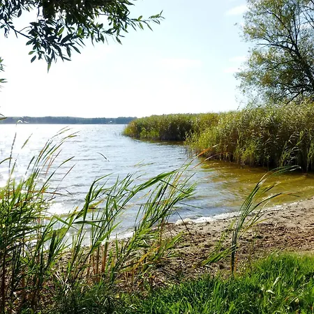 Wooden By Scharmuetzelsee *