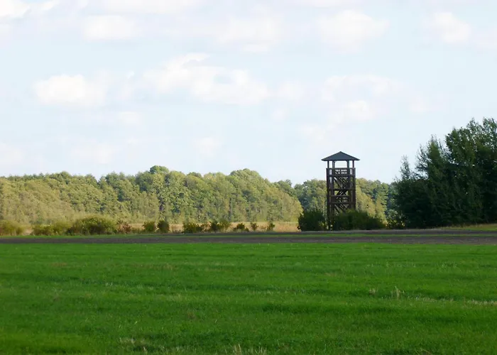 Wooden By Scharmuetzelsee Feriehus *